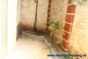 Modern house for lease in Ciputra, Tay Ho, Hanoi